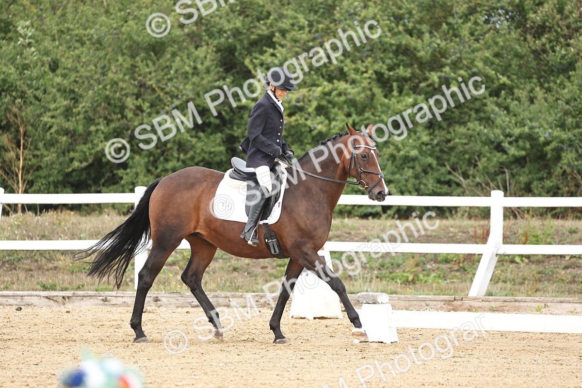SBM_002676 - Class 7 - Novice 2 Warm Up