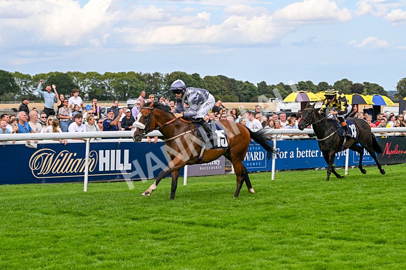300826-Race 5-Harb-1125 - Race 5 3.55pm Constant Security Handicap