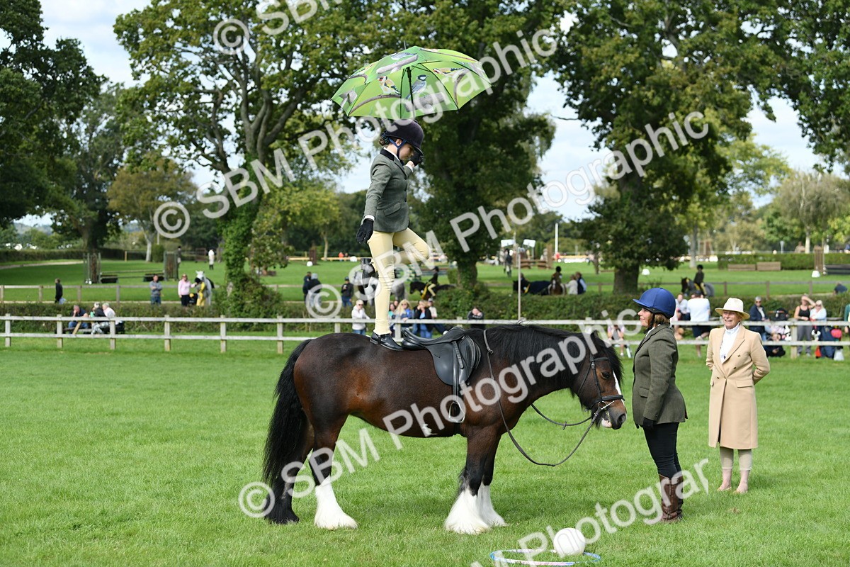 SBM_46936 - S12 - Family Horse & Pony