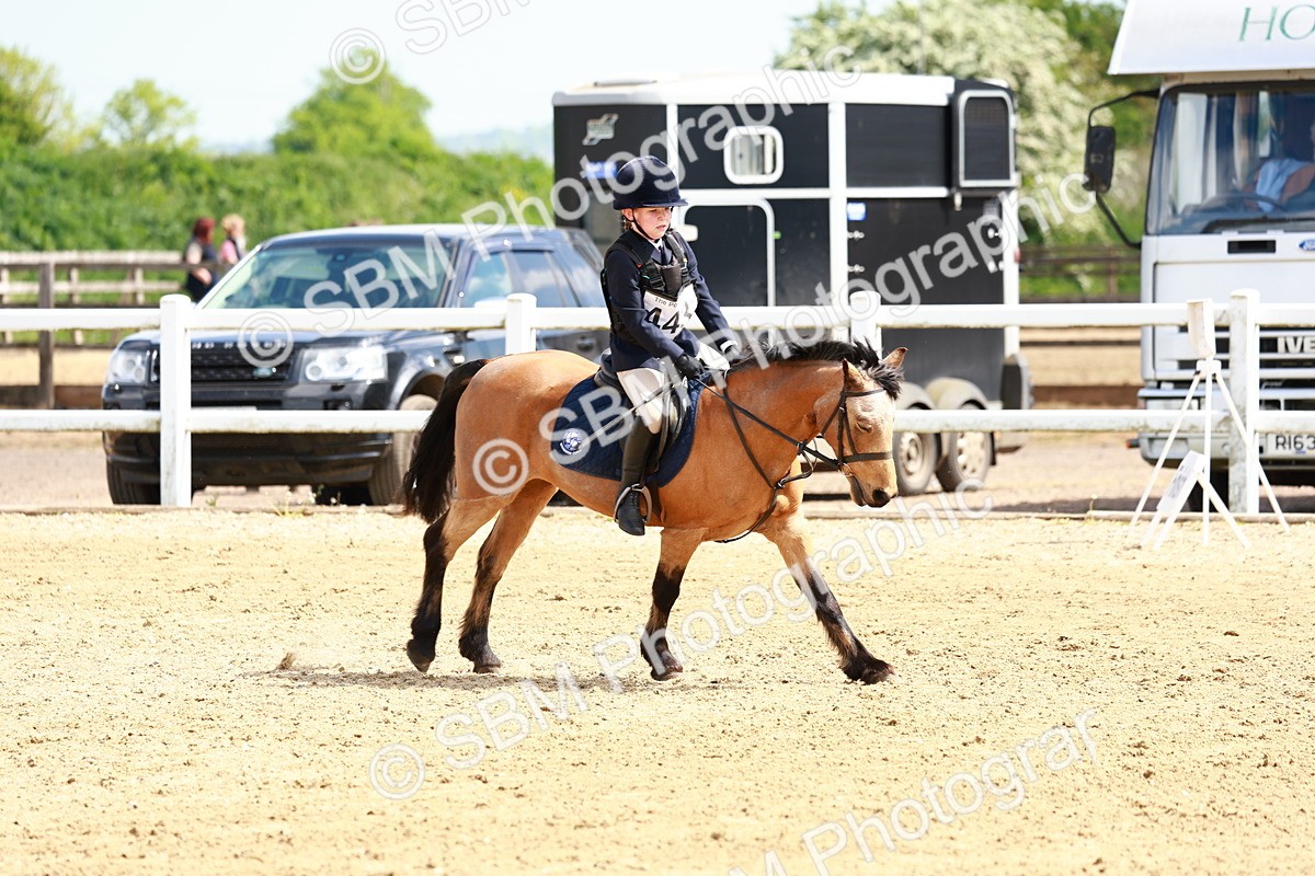 SBM_007877 - Class 3 - 60cm