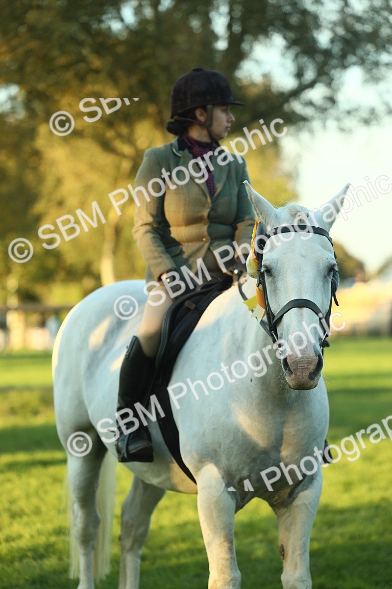 SBM_56545 - S14 - Riding Club Horse