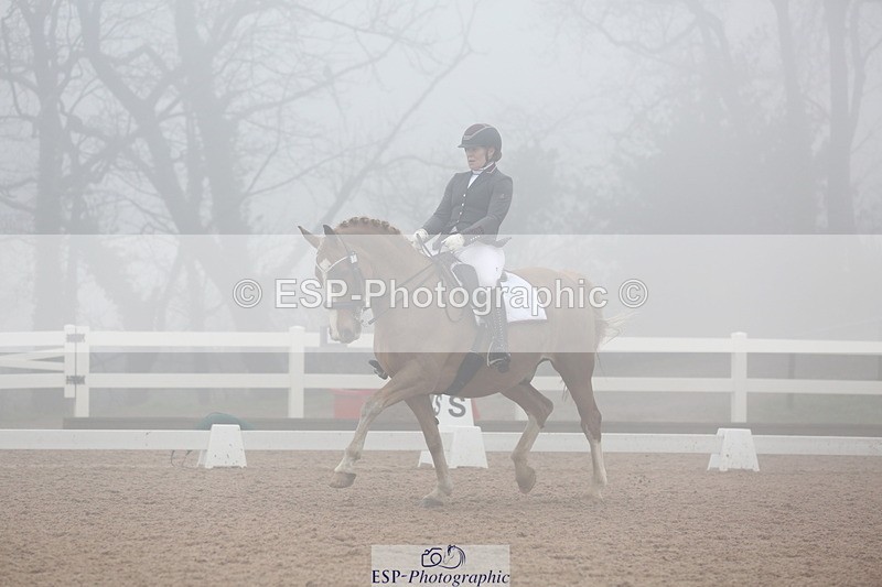 240217A-125630-02991 - 103-Ruth.Saunders-Dizzy.Rascal.VII