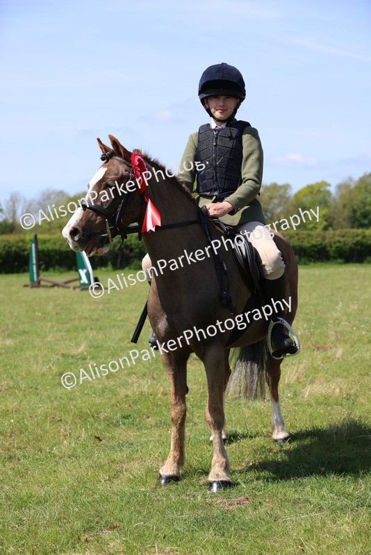 20250427-2510 - Class 19 - Mini Working Hunter