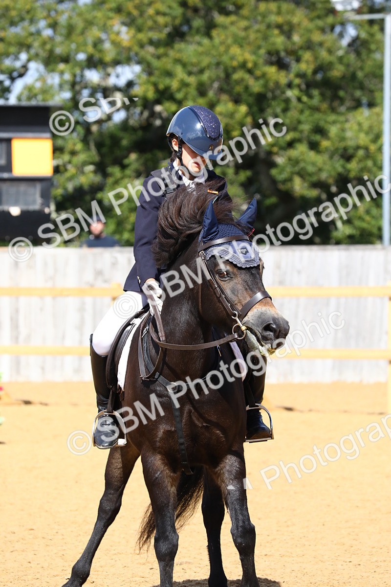 SBM_20802 - D5 - Small Tour Championshop Intro 2