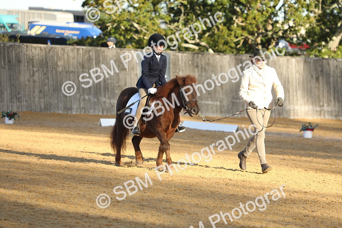 SBM_33626 - D26 - Starers - Lead Rein