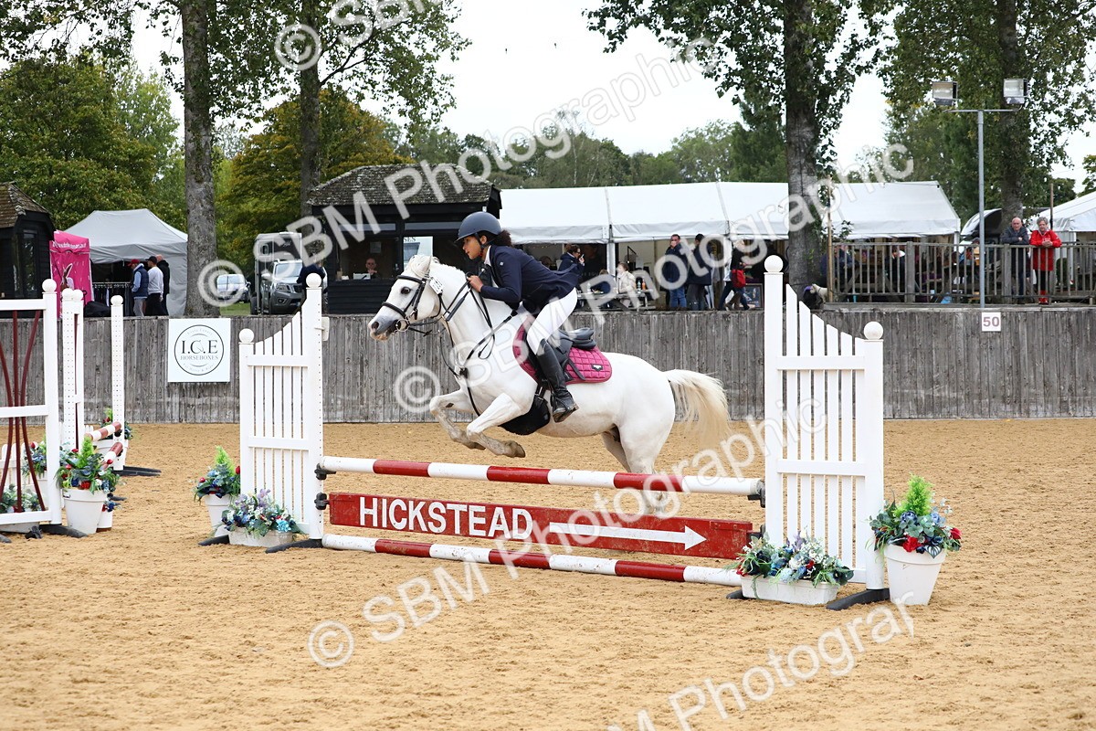 SBM_65113 - Supreme Championship 50cm 60cm 70cm