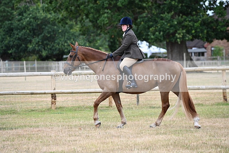 WJ6_3766 - Class 9 Tack & Turnout