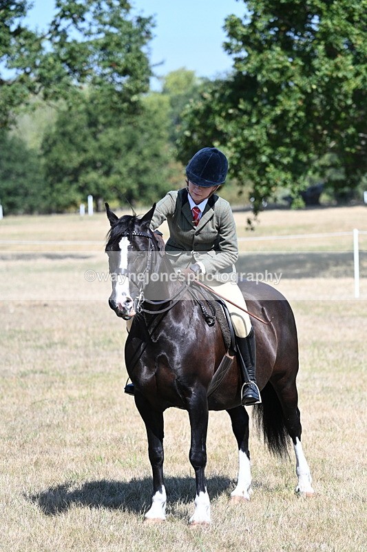 WJ7_4103 - Class 9 Mountain & Moorland Ridden