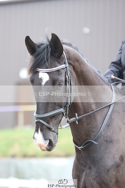 240121A-113223-01325 - Cls 9 Music Elementary