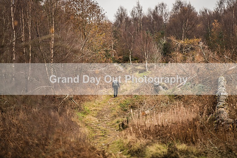 Tweed Valley-908 - High Terrain Events Tweed Valley 50 & 65K Ultra Trail Races Sunday 16th November 2025