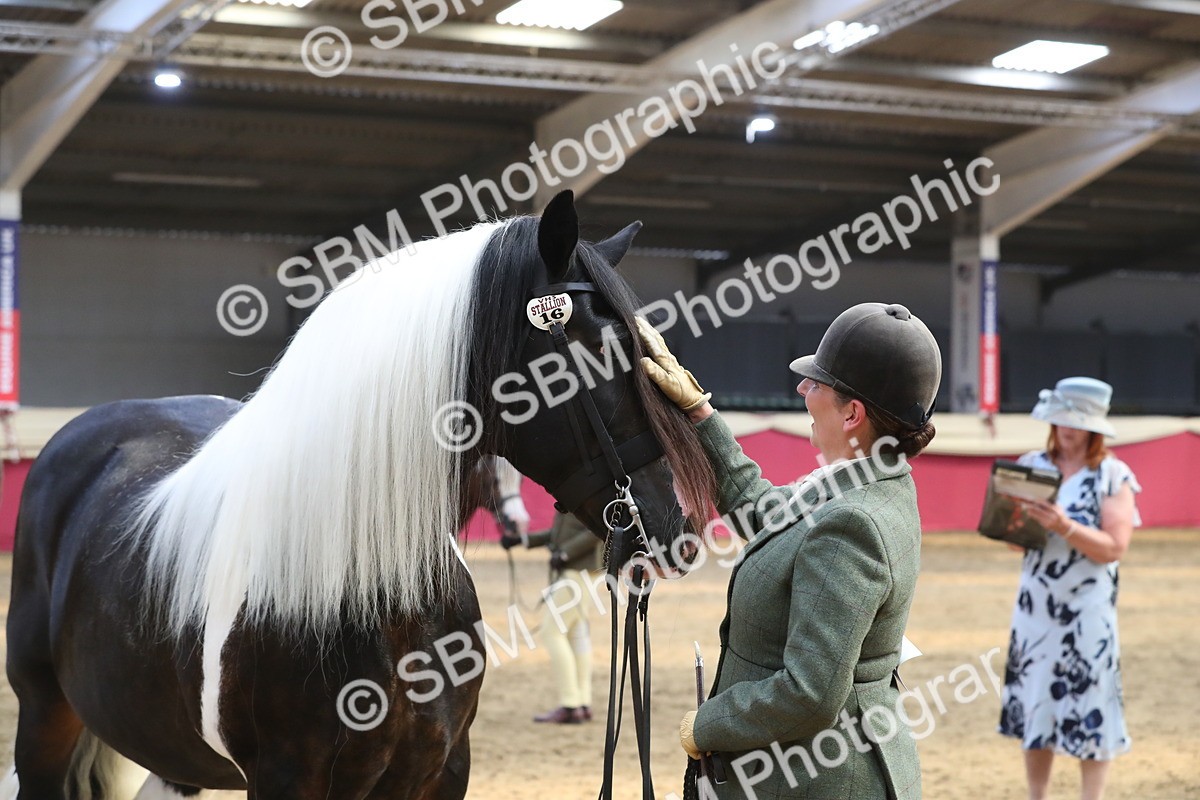 SBM_06562 - Regional IH Champ