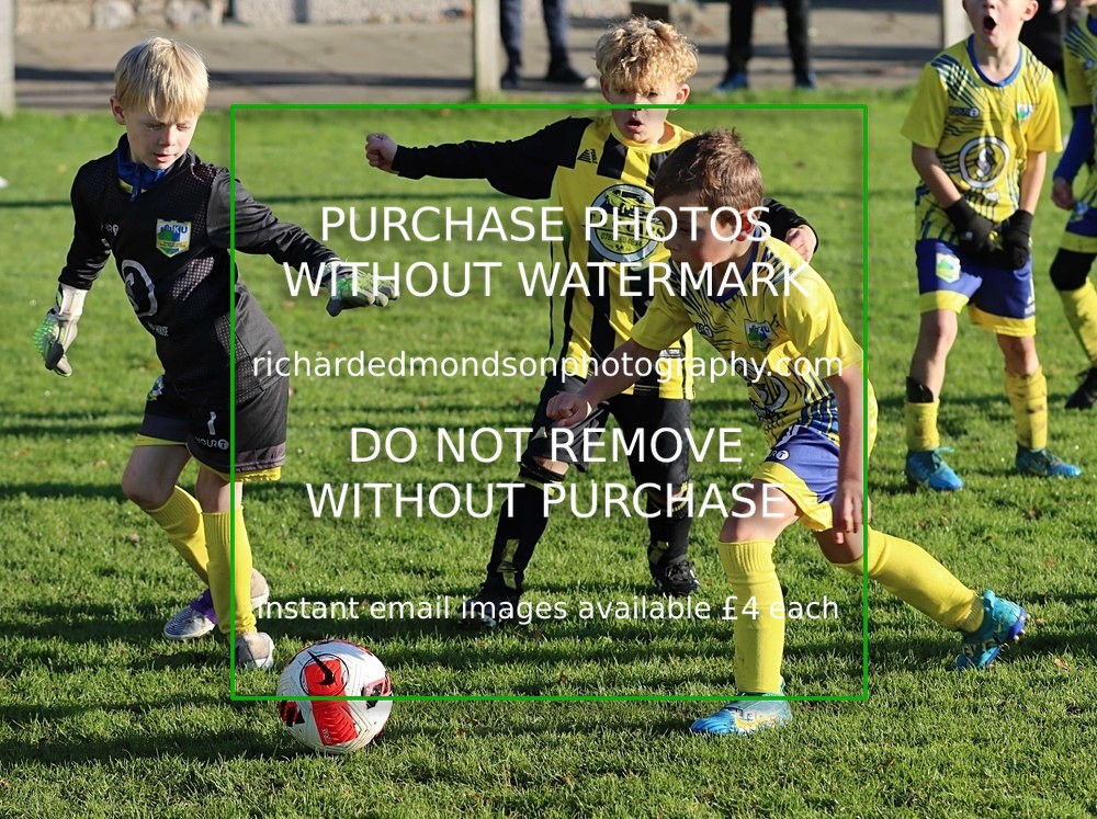 IMG_9745 - Kendal Under 8's v Trimpell Under 8's (22/10/23)