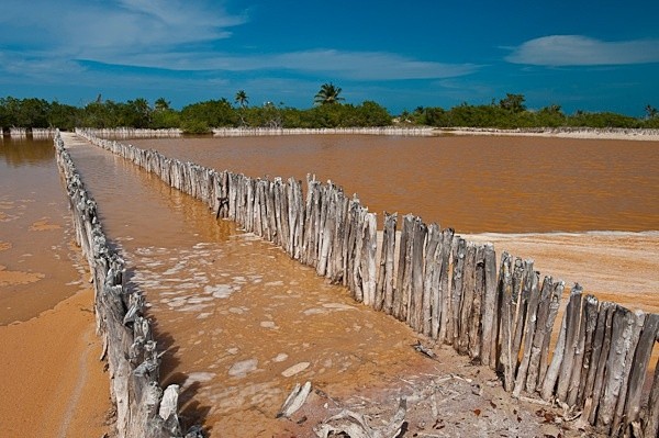 - Yucatan, Mexico