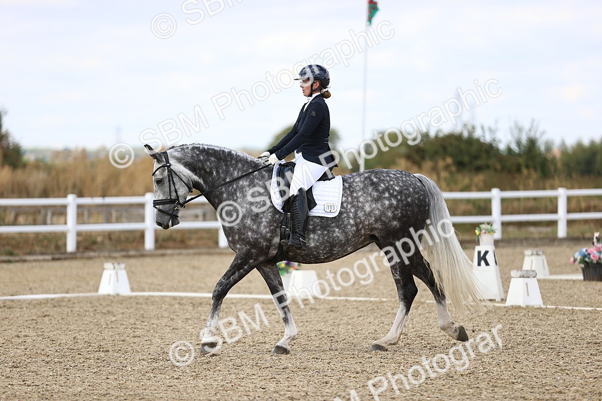 SBM_015226 - Class 5 - E5 Bronze 14.42.15.54