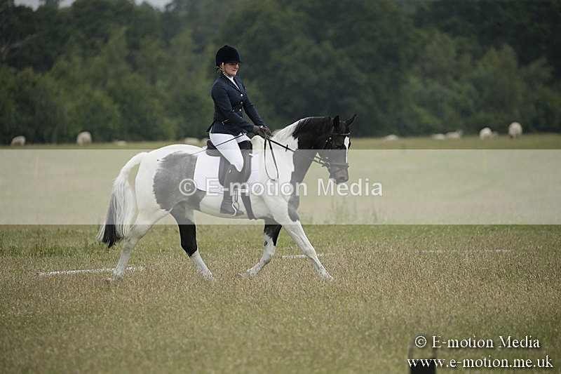 B230619-0373 - Bourne Valley Riding Club Summer Show 23/06/19