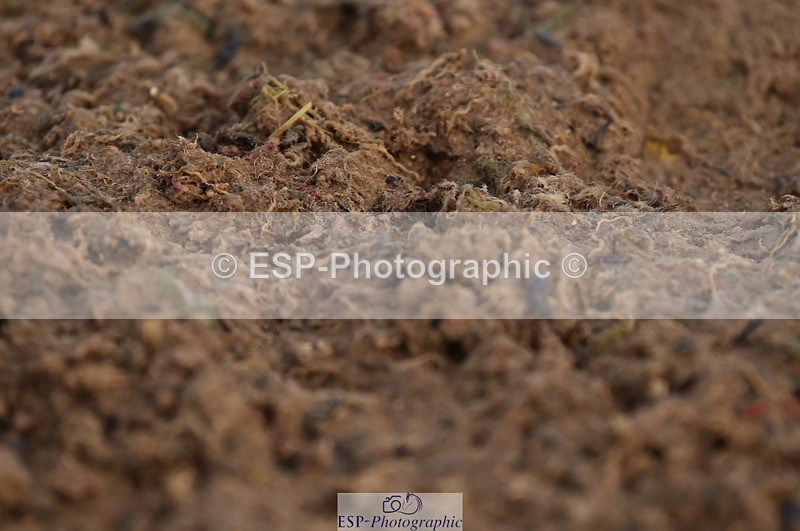 231104A-112412-01528 - Cls 5 Novice 37A