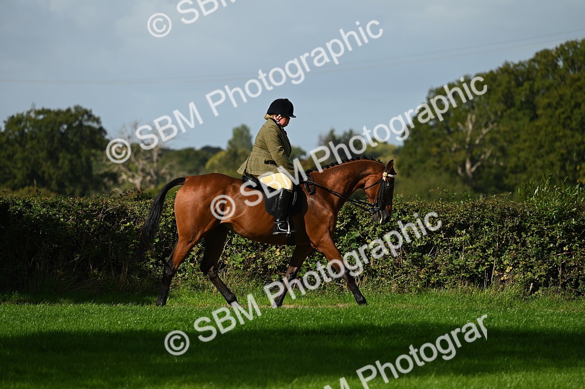 SBM_01325 - S2 - TSR Ridden Horse Showing