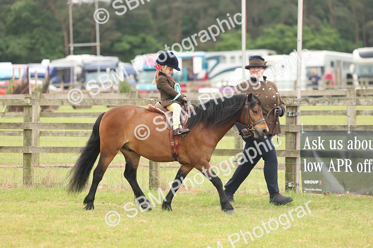 SBM_06850 - Class 74-75 - M&M Lead Rein and First Ridden Pony