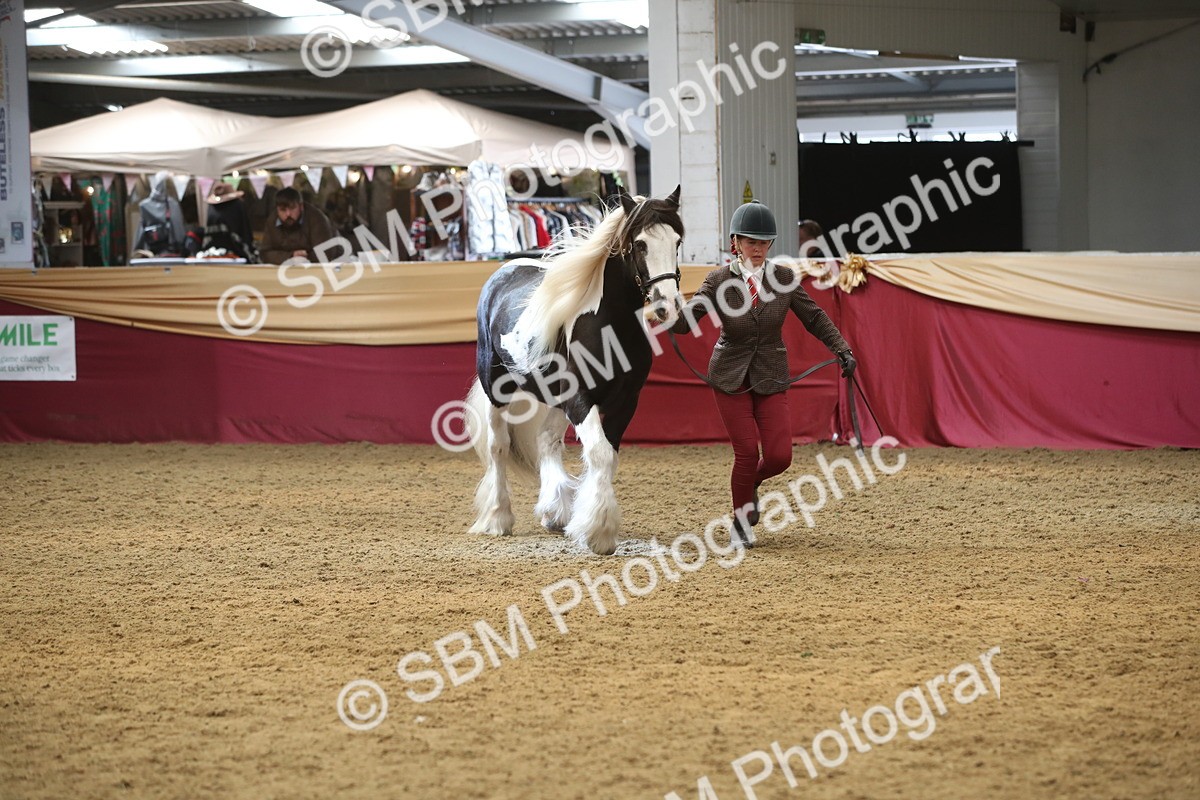 SBM_05647 - Class 9R - Regional IH Pre-Vet