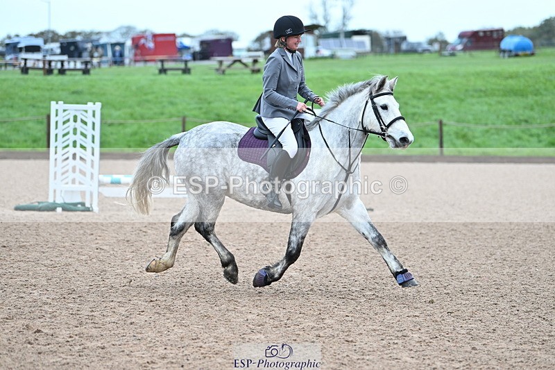 231029A-090031-02249 - 50cm Clear Round