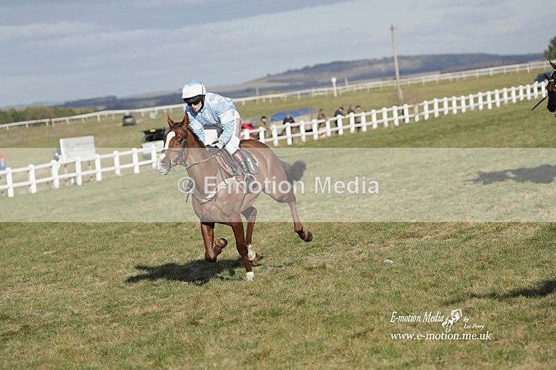 PtP 260223 1207 - South & West Wilts Point-to-Point Larkhill 26/02/23