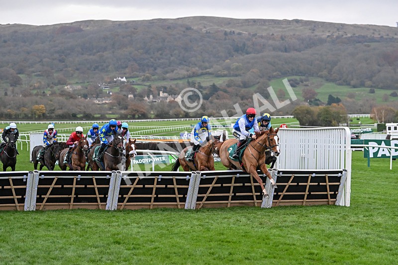 161124-Race 6-Wyenot-1417 - Race 6