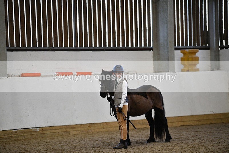 WJ5_4426 - Class 6 In hand M&M - Large Breeds