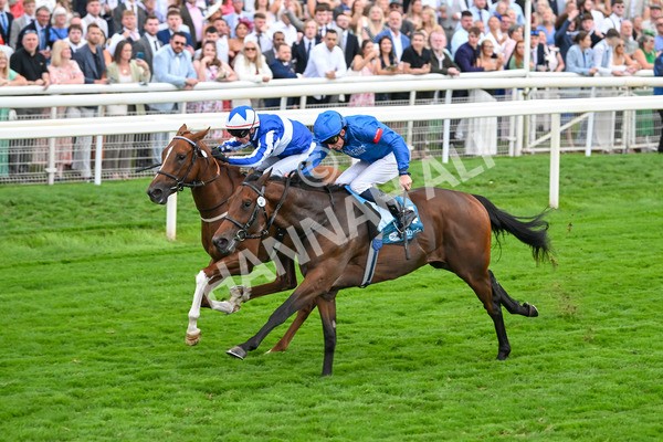 230825-Race 6-Revival Power-0839 - Race 6 4.45pm Julia Graves Roses Stakes