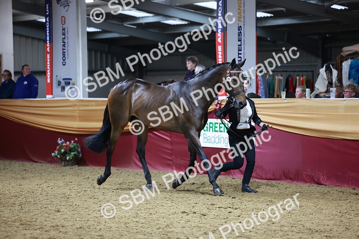 SBM_20621 - Class I - Ridden Pony Champ