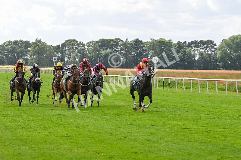 090824-Race 4-Law Of Average-4659 - Race 4