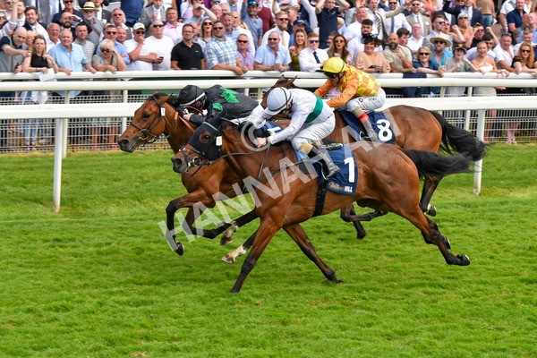 270523-Race 4-River of Stars-4363 - Race 4 3.15pm William Hill Bronte Cup Fillies' Stakes