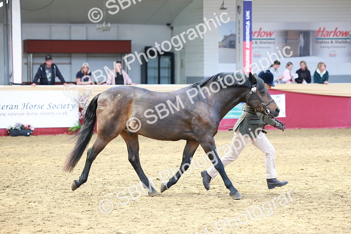 SBM_17497 - Class 951 - M&M IH Supreme Final