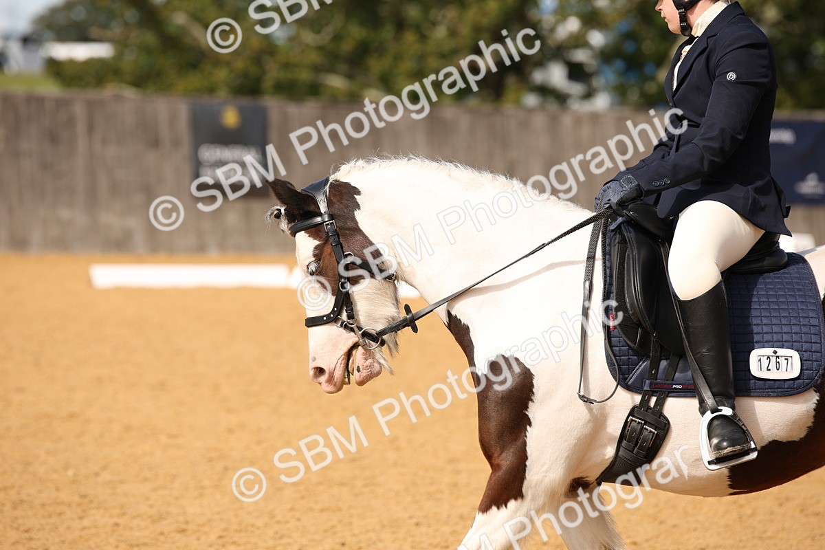 SBM_21785 - D5 - Small Tour Championship - Intro C