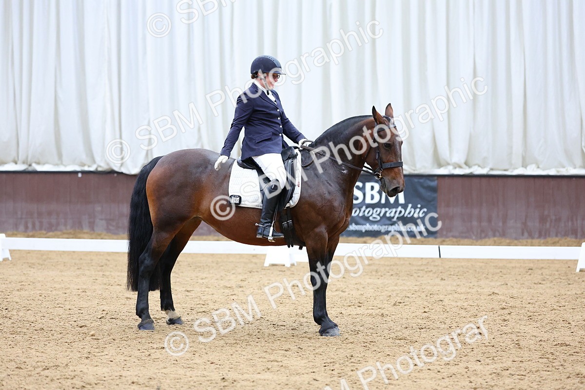 SBM_003943 - Elementary 1