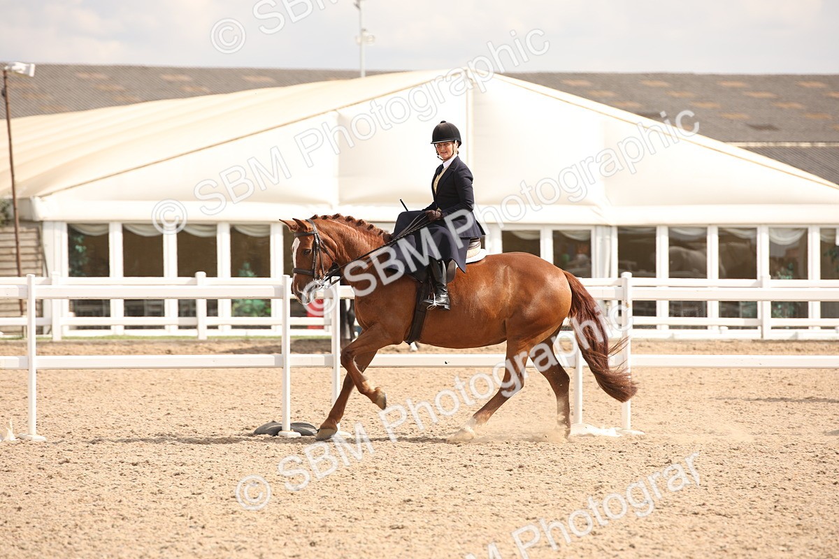 SBM_06737 - Class 24 Concours d'elegance