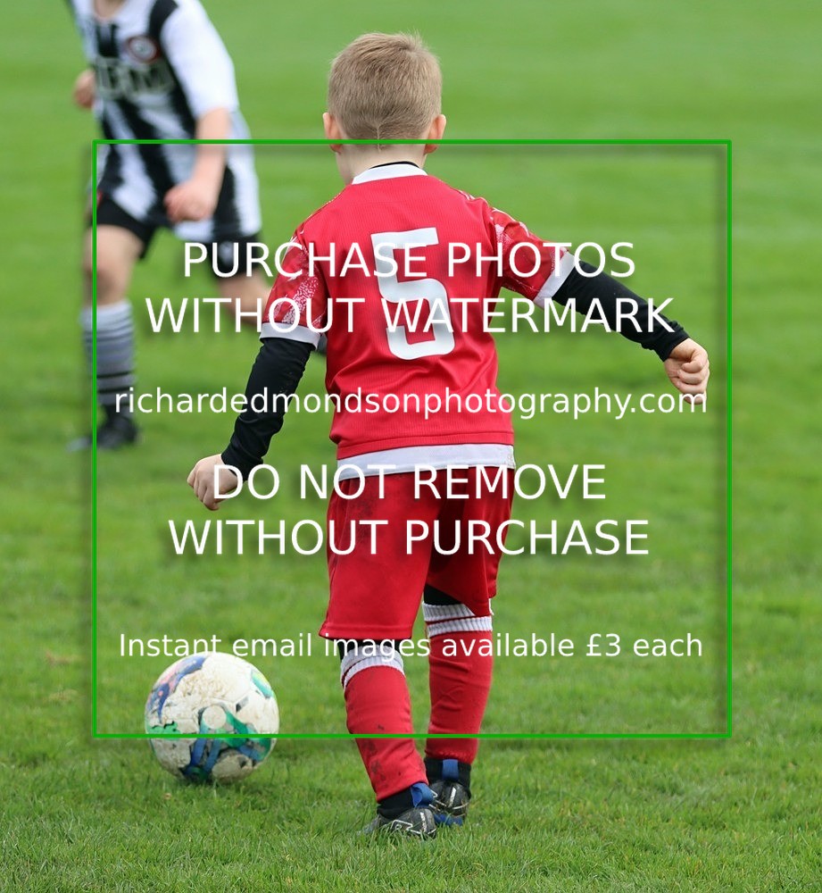 IMG_7175 - Ibis Under 8's (19/10/24)