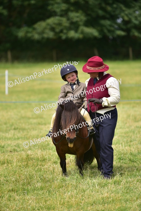 20260614-3998 - Class 16 - Handsome Gelding