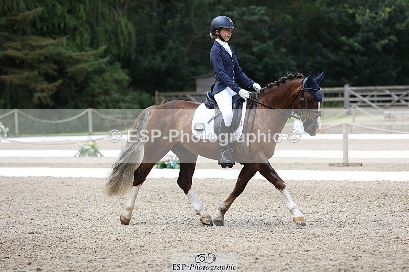 230812-115926-03897 - Cls 5 Novice Bronze 11.15 to 12.50 break