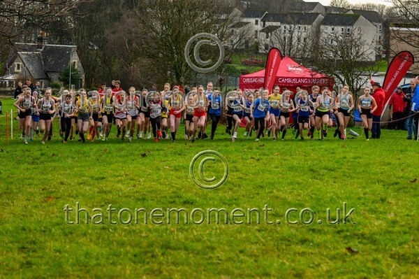 Westxc25-913912 - U13 Girls