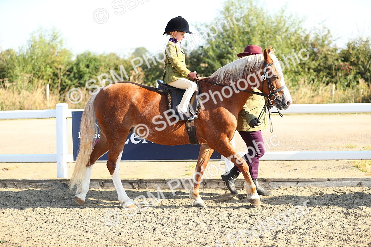 SBM_00364 - Class 41 Best Turned Out Ridden
