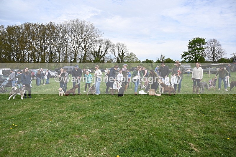 WJ6_8639 - Class 6 Best Rescue