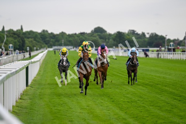 120724-Race 3-Royalty Bay-5955 - Race 3 3.15pm William Hill Keep Your Raceday Positive Irish EBF Fillies' Novice Stakes