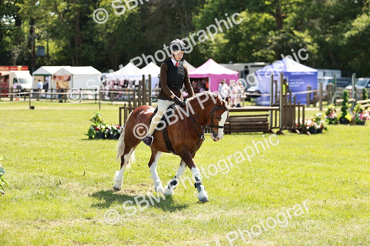 SBM_17613 - Class 112-113 - BSPS LIHS Working Sports Pony
