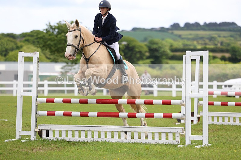 3E7A7640 - Class 13: Senior British Novice/90cm open