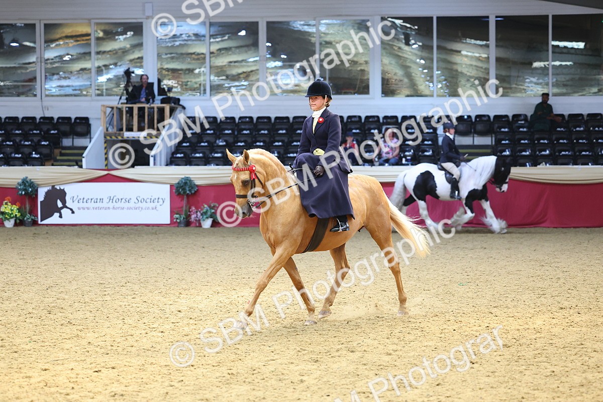 SBM_24369 - Class 906 - Supreme Final - Ridden Pre Vet