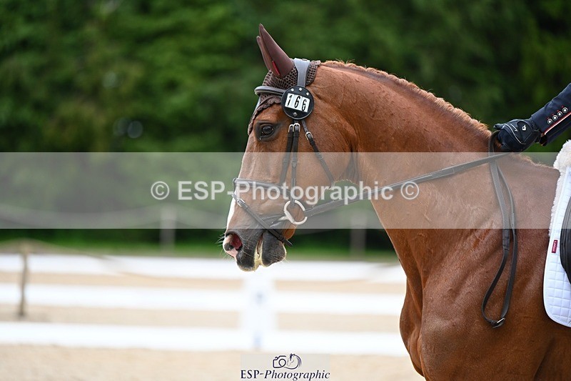 240524-182529-11660 - 166-MEXICAN_LAW-Isabelle_Cook