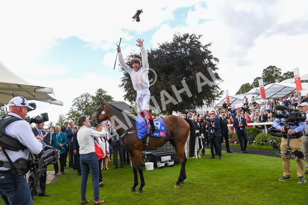 260823-Race 4-Absurde-0880 - Race 4 Sky Bet Ebor Handicap