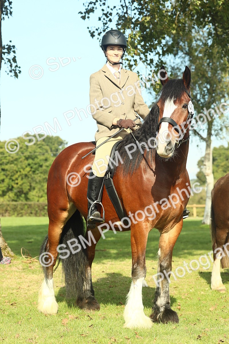 SBM_60012 - S38 - Starters Ridden Showing