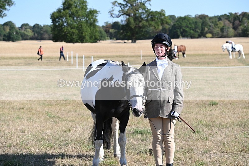 WJ6_7297 - Class 33 Rescue Pony
