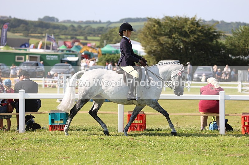 JPP_1685 - Class 19: Cornish Combination Open